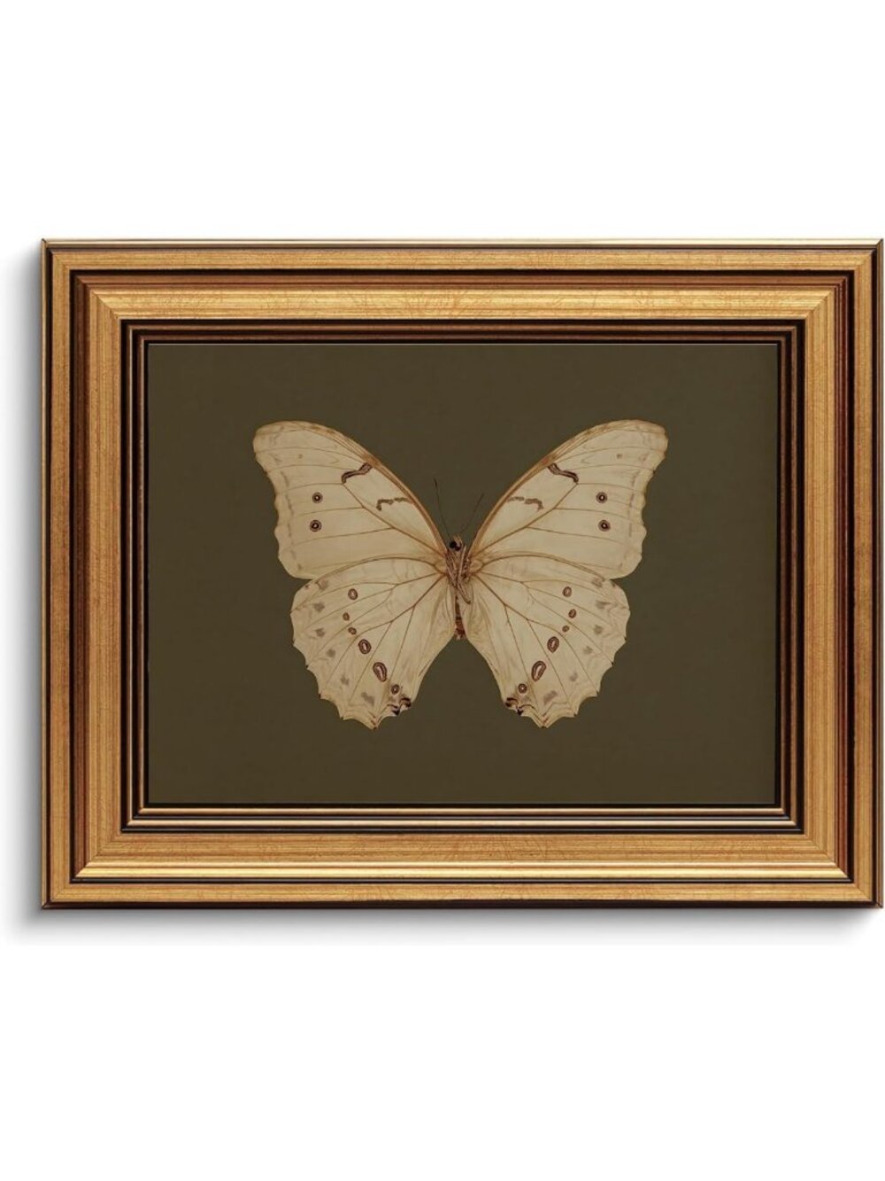 Vintage Gold Framed Butterfly Canvas Art | Moody Retro Wall Decor for Home